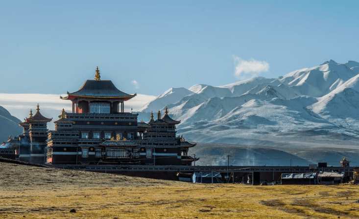 蒙古国海关数据查询平台（附免费试用查询平台）